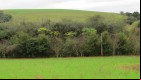 Área de Preservação Permanente e pasto.