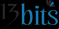 logo 13 bits